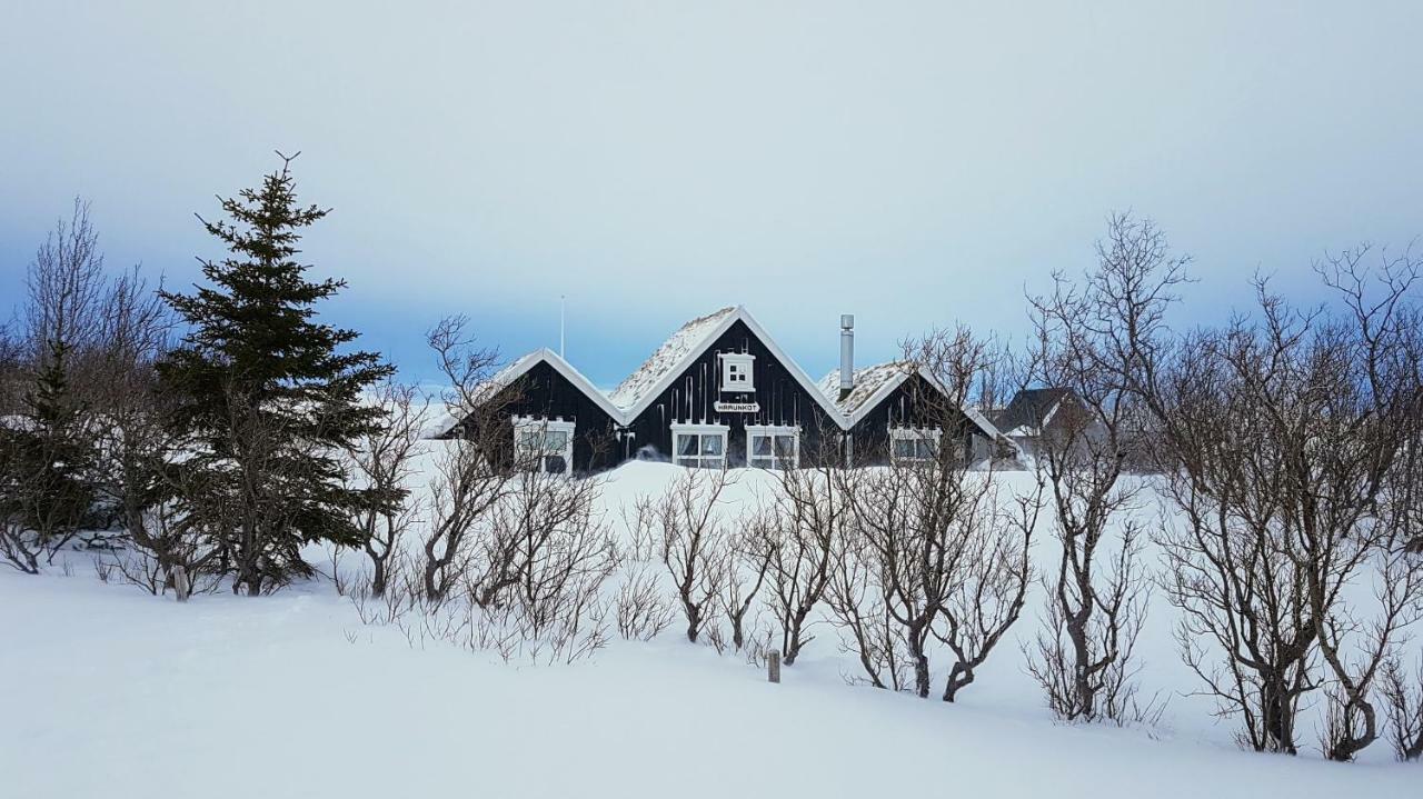 Þingvellir Golden Circle Cottage Veithilundur المظهر الخارجي الصورة