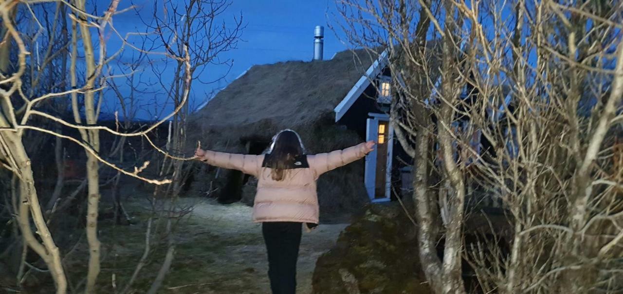 Þingvellir Golden Circle Cottage Veithilundur المظهر الخارجي الصورة